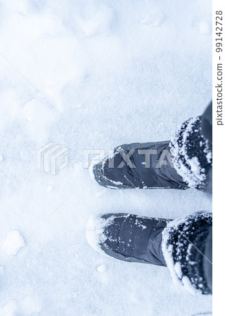 與雪的樹 與雪的樹 99142728