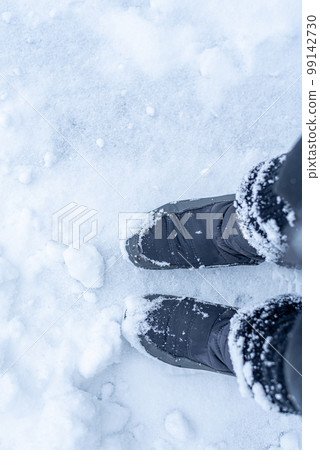 Tree with snow Tree with snow 99142730
