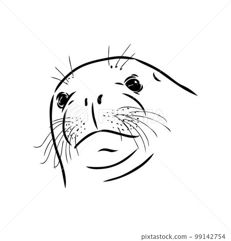 The animal is a navy seal. Monochrome logo of a marine animal. Vector isolated hand drawing in doodle style. Contour linear isolated icon. The page of the coloring book. 99142754