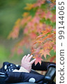 Baby trying to touch autumn leaves 99144065