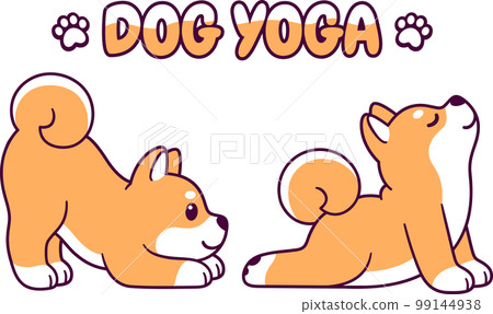 Cute Shiba Inu dog yoga Cute Shiba Inu dog yoga 99144938