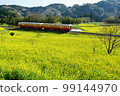 Rapeseed field and train 99144970