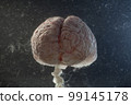 Brain floating in a tank of water 99145178