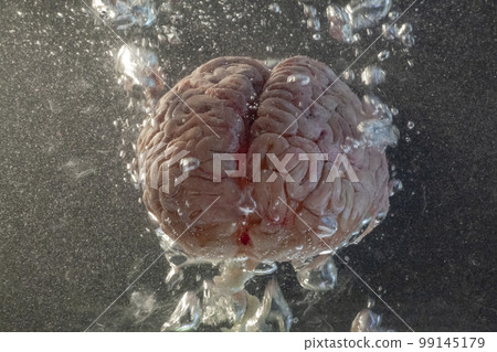 Brain floating in a tank of water with bubbles 99145179