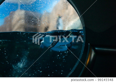 A window 99145548