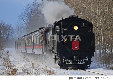 Senmo 幹線釧路沼澤-洞爺 JR 北海道 C11-171 + 系列 14 + Suhashi 44 SL 冬季沼澤 99146259