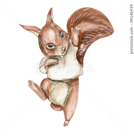 Hand drawn watercolor squirrel. Watercolor hand draw fairy tale illustration. Illustartion with white isolated background. Perfect for greeting card, poster. Hand drawn watercolor squirrel. Watercolor hand draw fairy tale illustration. Illustartion with white isolated background. Perfect for greeting card, poster. 99146439