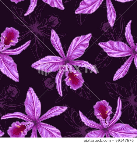 Seamless pattern with Cattleya Orchid flower on dark background. SIlhouette of orchidea behind. Seamless pattern with Cattleya Orchid flower on dark background. SIlhouette of orchidea behind. 99147676