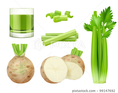 Green celery. Sliced pieces of vegan food green healthy smoothie decent vector pictures in realistic style 99147692