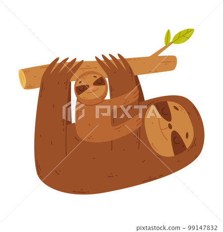 Cute sloth family. Animal parent hanging on tree branch with its baby. Happy parenthood cartoon vector illustration 99147832