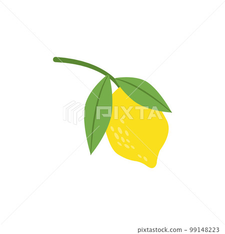 Fresh lemon fruit. Fresh lemon fruit. 99148223