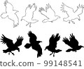 Set of realistic raven vector silhouettes for icons. Hand drawn style 99148541