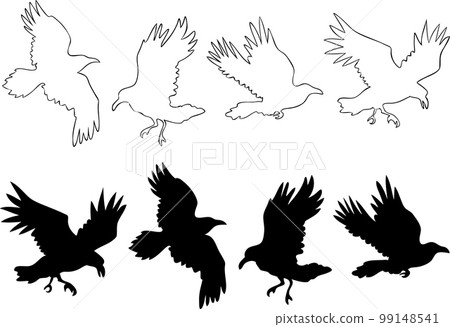 Set of realistic raven vector silhouettes for icons. Hand drawn style Set of realistic raven vector silhouettes for icons. Hand drawn style 99148541