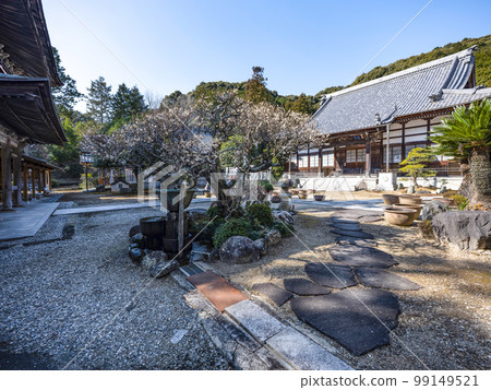 龍源寺(愛知縣豐川市)早開的櫻花 龍源寺(愛知縣豐川市)早開的櫻花 99149521