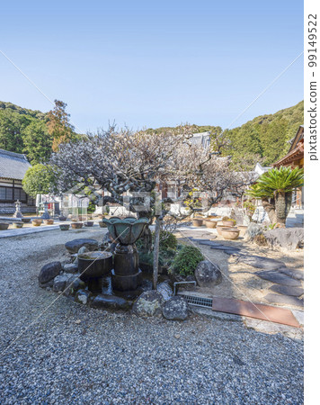 龍源寺(愛知縣豐川市)早開的櫻花 龍源寺(愛知縣豐川市)早開的櫻花 99149522