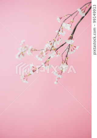 Cherry Blossom Artificial Flower Spring 99149913