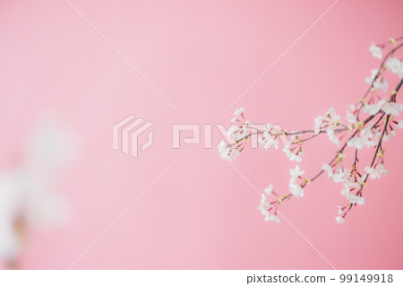 櫻花仿真花春天 99149918