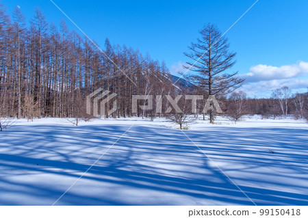 多雪的領域的剪影 99150418