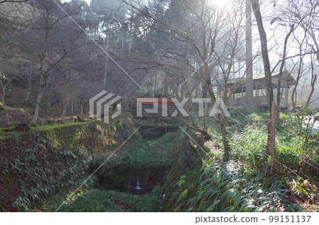 森林風光_大原三千院 99151137