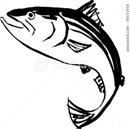 三文魚三文魚墨水繪畫水彩手繪 三文魚三文魚墨水繪畫水彩手繪 99151459