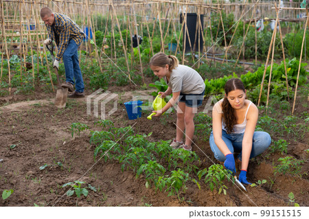 Friendly family working together on backyard garden 99151515