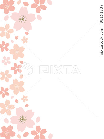 Vertical frame of cherry blossoms Illustration of cherry blossoms in an arch on the left 99151535