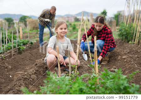 Mother and daughter working in garden Mother and daughter working in garden 99151779