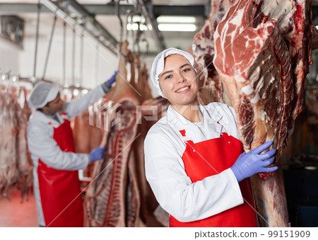 Female butchery worker checking hanging raw cow carcasses 99151909