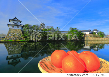 [愛媛縣]蜜柑和今治城 99151969