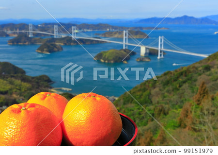 [Ehime Prefecture] Mandarin oranges and a view of the Kurushima Kaikyo Bridge (Shimanami Kaido) 99151979