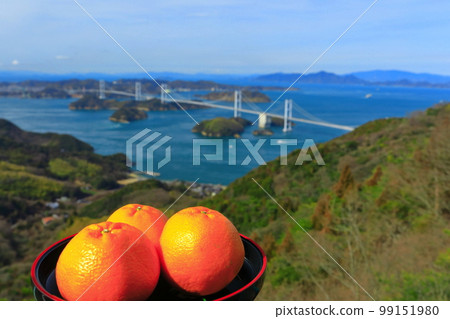 [Ehime Prefecture] Mandarin oranges and a view of the Kurushima Kaikyo Bridge (Shimanami Kaido) 99151980