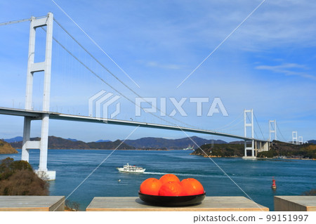[Ehime Prefecture] Mandarin Oranges and Kurushima Kaikyo Bridge (Shimanami Kaido) 99151997