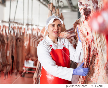 Female butcher arranging raw beef carcasses hanging in chilling room Female butcher arranging raw beef carcasses hanging in chilling room 99152010