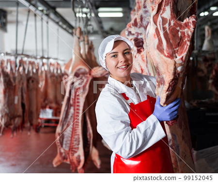 Female butcher arranging raw beef carcasses hanging in chilling room Female butcher arranging raw beef carcasses hanging in chilling room 99152045