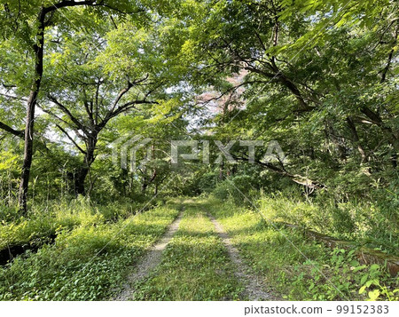 green country road green country road 99152383