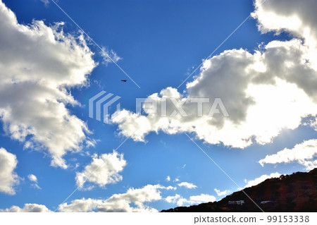 駿河灣和深秋的天空 99153338