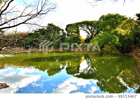 伊豆大瀨崎神社神池與鯉魚七絕 伊豆大瀨崎神社神池與鯉魚七絕 99153467