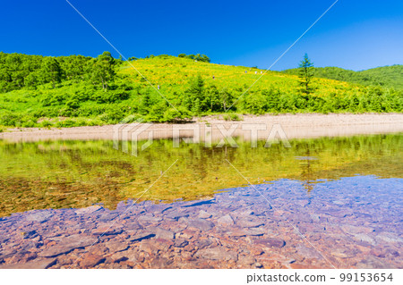 (Gunma Prefecture) Summer Nozori Lake lakeside scenery 99153654
