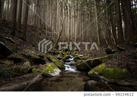 Mountain stream scenery in the forest 99154612