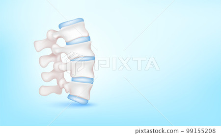 Backbone disc joint with healthy cartilage on blue background with copy space for text. Bone human skeleton anatomy of the body. Medical health care science concept. Backbone disc joint with healthy cartilage on blue background with copy space for text. Bone human skeleton anatomy of the body. Medical health care science concept. 99155208