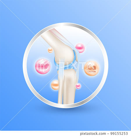 Healthy joint bone anatomy. Skeleton x ray scan, Vitamin Collagen and Minerals Calcium help heal arthritis knee. Medical or healthcare concept. Realistic 3d vector. For nutrition products design. Healthy joint bone anatomy. Skeleton x ray scan, Vitamin Collagen and Minerals Calcium help heal arthritis knee. Medical or healthcare concept. Realistic 3d vector. For nutrition products design. 99155253