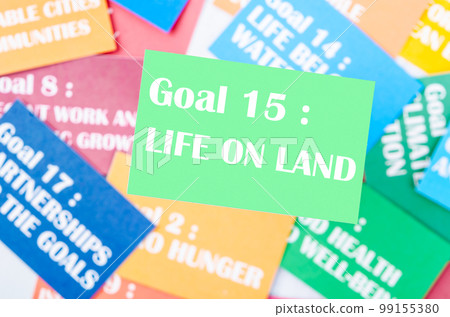 The Goal 15 The Goal 15 99155380