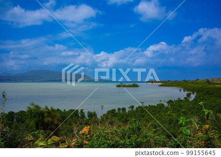 沖繩鈷藍海 99155645