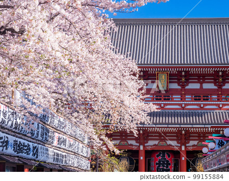 四月櫻花盛開在仲見世與淺草，東京淺草寺門藏門 99155884