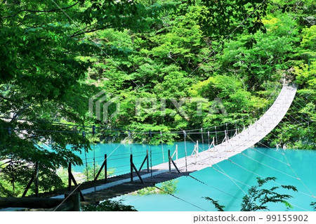 靜岡縣:初夏的新綠與夢幻的吊橋(墨又峽) 靜岡縣:初夏的新綠與夢幻的吊橋(墨又峽) 99155902