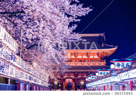 淺草,東京,三月,在淺草寺寶藏門和仲見世街盛開的櫻花點燈 淺草,東京,三月,在淺草寺寶藏門和仲見世街盛開的櫻花點燈 99155943