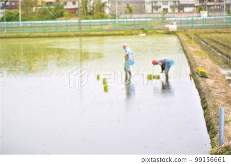 Praying for a bountiful autumn harvest during the rice-planting season. Praying for a bountiful autumn harvest during the rice-planting season. 99156661