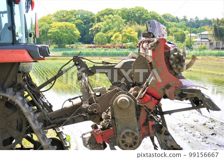 Praying for a bountiful autumn harvest during the rice-planting season. Praying for a bountiful autumn harvest during the rice-planting season. 99156667