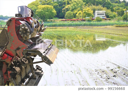 Praying for a bountiful autumn harvest during the rice-planting season. Praying for a bountiful autumn harvest during the rice-planting season. 99156668