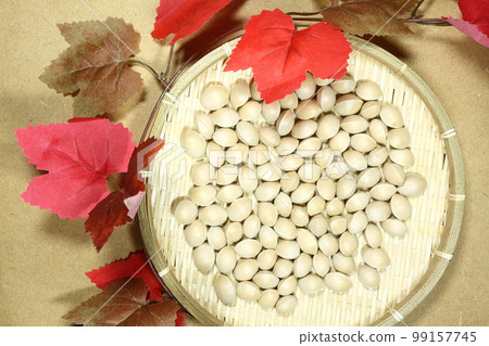 Autumn Taste Ginkgo Autumn Taste Ginkgo 99157745